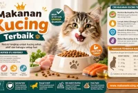Rekomendasi Makanan Kucing Terbaik untuk Kitten dan Kucing Dewasa dengan Daftar Harga